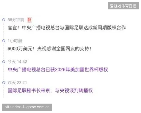 近四成世界杯官方特邀转播票流入非合规平台，数字化追踪机制为何难以并轨业务流程？